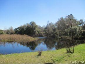 3910 E Laguna Loop, Hernando, FL 34442 photo 13