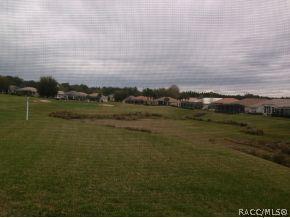 161 W Red Sox Path, Hernando, FL 34442 photo 18