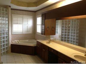161 W Red Sox Path, Hernando, FL 34442 photo 8