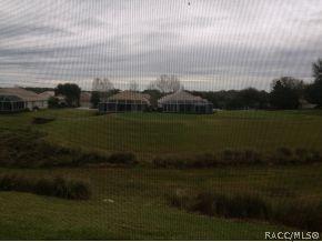 161 W Red Sox Path, Hernando, FL 34442 photo 17