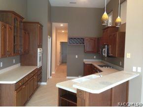 161 W Red Sox Path, Hernando, FL 34442 photo 6