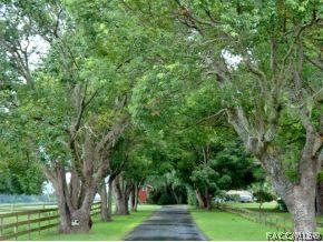 1859 N Cloverdale, Hernando, FL 34442 photo 8