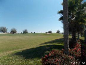 1857 N Gibson Pt, Hernando, FL 34442 photo 22