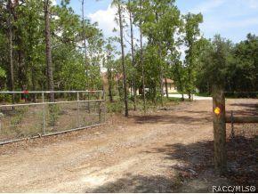 567 E Katie St, Hernando, FL 34442 photo 2