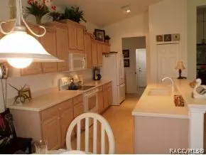 1671 N Dimaggio Path, Hernando, FL 34442 photo 14