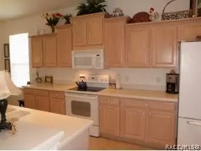 1671 N Dimaggio Path, Hernando, FL 34442 photo 13