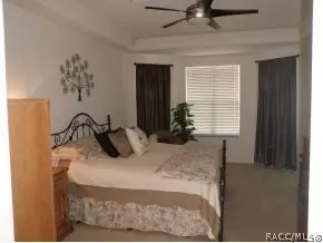 1671 N Dimaggio Path, Hernando, FL 34442 photo 19