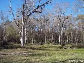 3531 SE 176 Pl, Inglis, FL 34449 photo 22