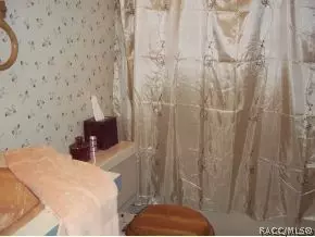 3531 SE 176 Pl, Inglis, FL 34449 photo 16