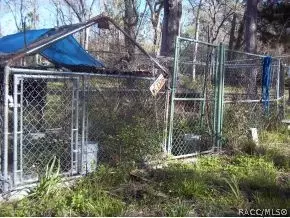 3531 SE 176 Pl, Inglis, FL 34449 photo 18