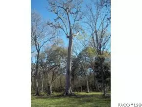3531 SE 176 Pl, Inglis, FL 34449 photo 24