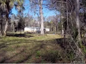 3531 SE 176 Pl, Inglis, FL 34449 photo 21