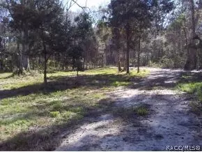 3531 SE 176 Pl, Inglis, FL 34449 photo 20
