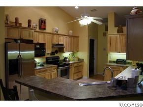 438 E Stratford Rd, Lecanto, FL 34461 photo 3