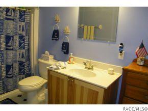 438 E Stratford Rd, Lecanto, FL 34461 photo 10
