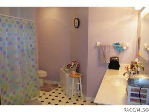 438 E Stratford Rd, Lecanto, FL 34461 photo 9