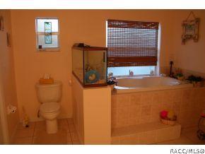438 E Stratford Rd, Lecanto, FL 34461 photo 12