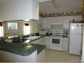 3793 E Kiwi Cove Ct, Hernando, FL 34442 photo 4