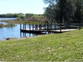 3793 E Kiwi Cove Ct, Hernando, FL 34442 photo 19