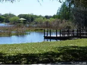 3793 E Kiwi Cove Ct, Hernando, FL 34442 photo 21