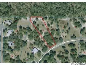 1295 E Ridgefield Dr, Hernando, FL 34442 photo 1