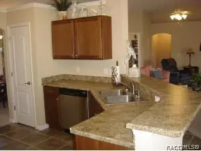 1099 S Softwind Loop, Lecanto, FL 34461 photo 8