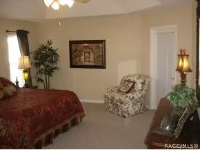 1099 S Softwind Loop, Lecanto, FL 34461 photo 14