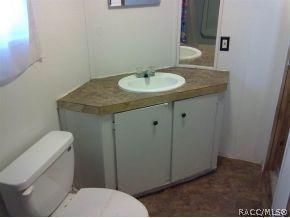 4324 E Apache Ft, Dunnellon, FL 34470 photo 11