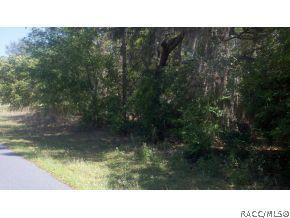 303 W Liberty St, Hernando, FL 34442 photo 1