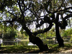 8442 E Gospel Is, Inverness, FL 34450 photo 3