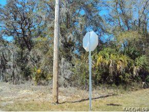 8386 N Bitterroot Dr, Crystal River, FL 34428 photo 1