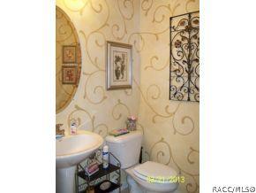 941 W Skyview Landings Dr, Hernando, FL 34442 photo 21