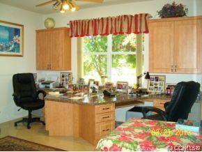 941 W Skyview Landings Dr, Hernando, FL 34442 photo 20