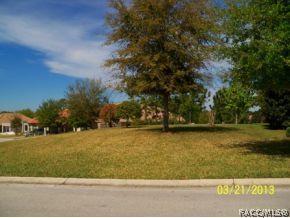 941 W Skyview Landings Dr, Hernando, FL 34442 photo 4