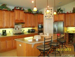 941 W Skyview Landings Dr, Hernando, FL 34442 photo 10