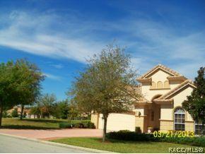 941 W Skyview Landings Dr, Hernando, FL 34442 photo 3