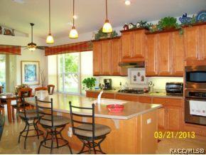 941 W Skyview Landings Dr, Hernando, FL 34442 photo 9
