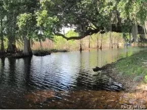 4240 E Lake Park Dr, Hernando, FL 34442 photo 15