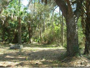 89 Gladys Ct, Inglis, FL 34449 photo 10