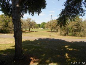 186 E Glassboro 3-b Ct #3-B, Hernando, FL 34442 photo 15