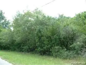 3955 E Gloria Dr, Hernando, FL 34442 photo 5