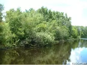 3955 E Gloria Dr, Hernando, FL 34442 photo 1