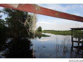 4368 E Thunderhill Lp, Hernando, FL 34442 photo 4