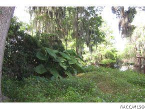 4368 E Thunderhill Lp, Hernando, FL 34442 photo 7