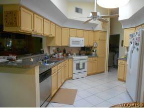 1280 E Silver Thorn Loop, Hernando, FL 34442 photo 5