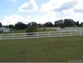 1354 N Hambletonian, Hernando, FL 34442 photo 17