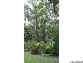 4364 N Forest Lake Dr, Hernando, FL 34442 photo 17