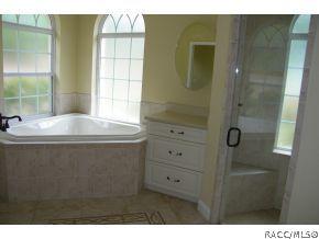 1519 E Bismark St, Hernando, FL 34442 photo 12