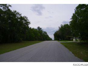 1519 E Bismark St, Hernando, FL 34442 photo 16