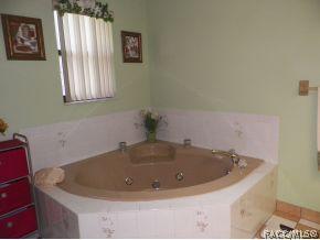 1436 E Silver Thorn Loop, Hernando, FL 34442 photo 9